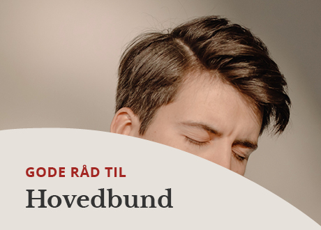 https://www.webapoteket.dk/guides/haar-eller-hovedbundsproblemer-lad-os-guide-dig/