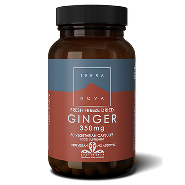 Terranova Ginger